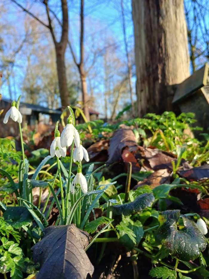 2486920a 724a 4797 842d 31d