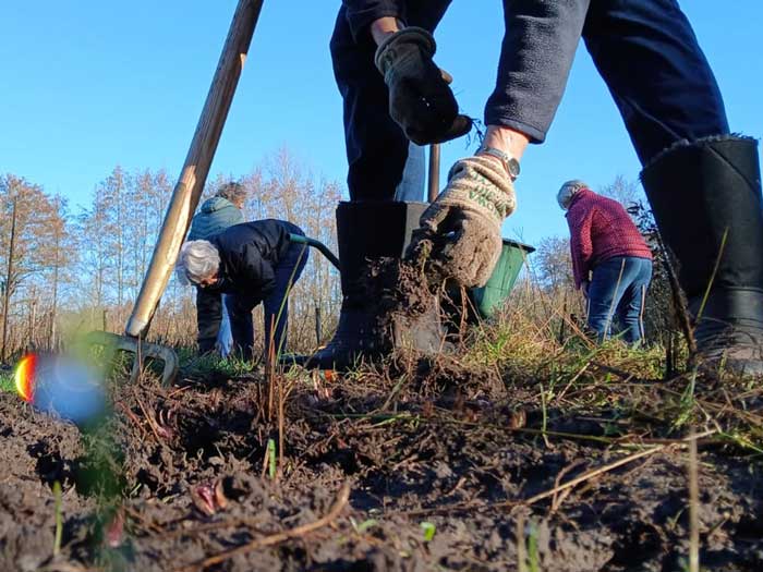 ace29c62 8eab 4e54 acca a5d